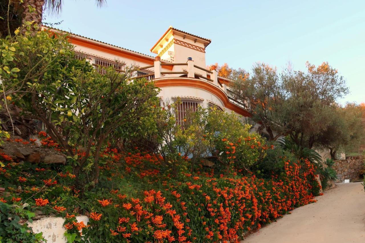 Villa Los Naranjos Sayalonga Екстер'єр фото